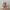 32eab129-1df3-4e84-b622-a356545ef5a9-Max-Origin