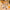 451b94c3-2541-4d0e-afbc-691d6e581d02-Max-Origin