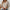 Cozy Women’s Solid Knit Pullover Sweater
