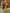Person in a Halloween pumpkin costume with a tree and grass background