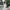 Luxury Abaya – Stylish Modest Kimono