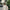 Luxury Abaya – Stylish Modest Kimono
