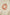 a304354b-3c70-4e55-96d8-c2fcb2f59ab7-Max