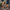 ad3599418fb0448486f7b3c66fa2d977-Max-Origin