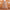 Boho High Waist Maxi skirt – Pleated & Buttoned.