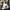 Rimocy Spring Summer Slim Fit Crop Tops - Everclothed™