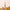 d1bfa5c4-384c-45c0-bd2a-c5753d626af6-Max-Origin