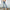 High Waist Retro Straight Leg.