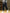 Jogger Pants Hip Hop Streetwear Ankle Length Cotton.