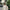 Luxury Abaya – Stylish Modest Kimono.