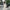 Luxury Abaya – Stylish Modest Kimono.