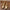 Men's Stylish British Pointed Leather Shoes.