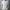 V Neck Short Sleeved T-shirt Summer Comfortable Top - Everclothed™